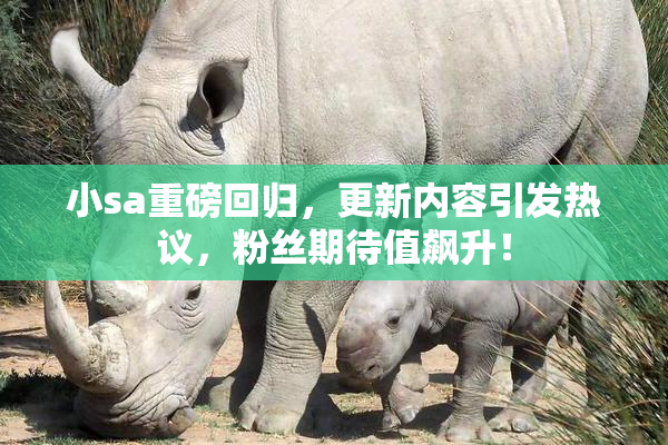 小sa重磅回归，更新内容引发热议，粉丝期待值飙升！