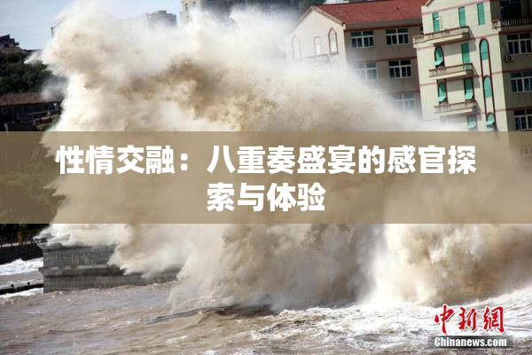 性情交融：八重奏盛宴的感官探索与体验
