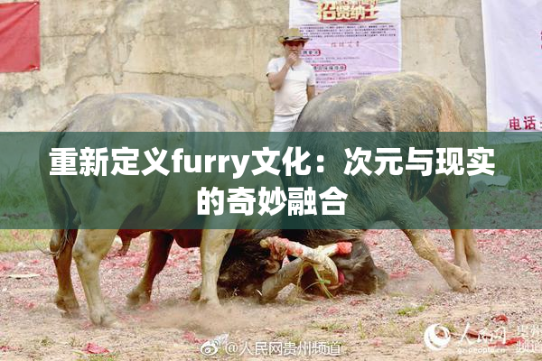 重新定义furry文化：次元与现实的奇妙融合