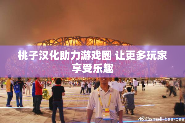 桃子汉化助力游戏圈 让更多玩家享受乐趣