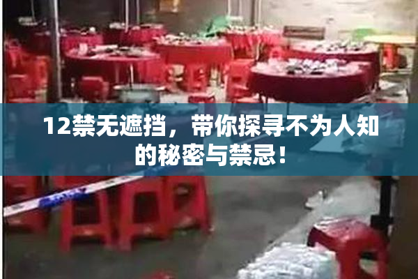 12禁无遮挡，带你探寻不为人知的秘密与禁忌！