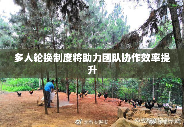 多人轮换制度将助力团队协作效率提升
