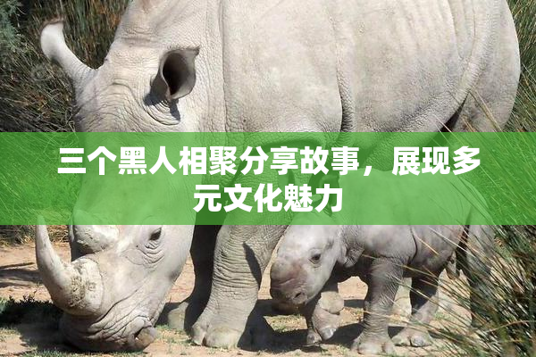 三个黑人相聚分享故事，展现多元文化魅力