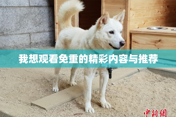 我想观看免重的精彩内容与推荐