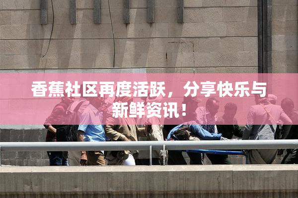 香蕉社区再度活跃，分享快乐与新鲜资讯！