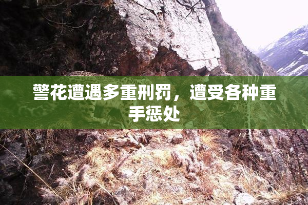 警花遭遇多重刑罚，遭受各种重手惩处