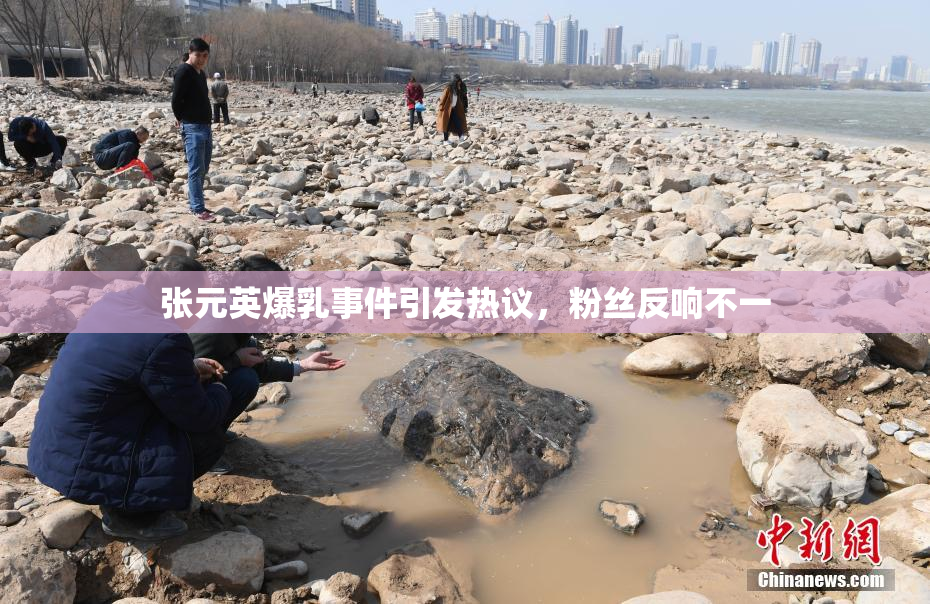 张元英爆乳事件引发热议，粉丝反响不一