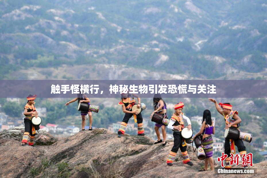 触手怪横行，神秘生物引发恐慌与关注