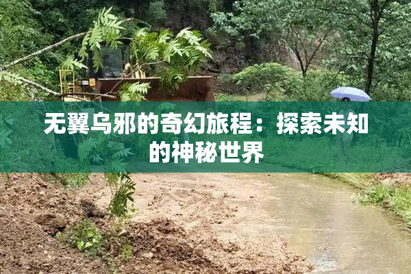 无翼乌邪的奇幻旅程：探索未知的神秘世界