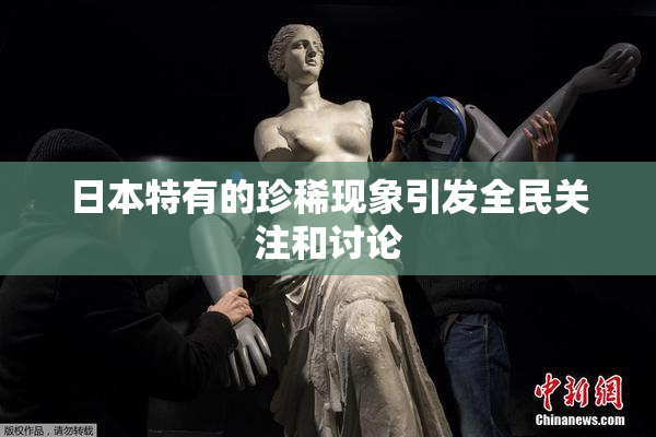 日本特有的珍稀现象引发全民关注和讨论