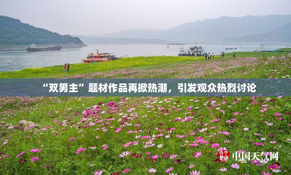 “双男主”题材作品再掀热潮，引发观众热烈讨论