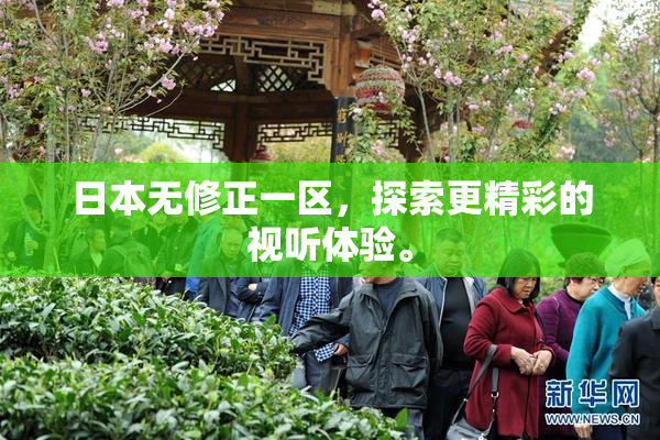 日本无修正一区，探索更精彩的视听体验。