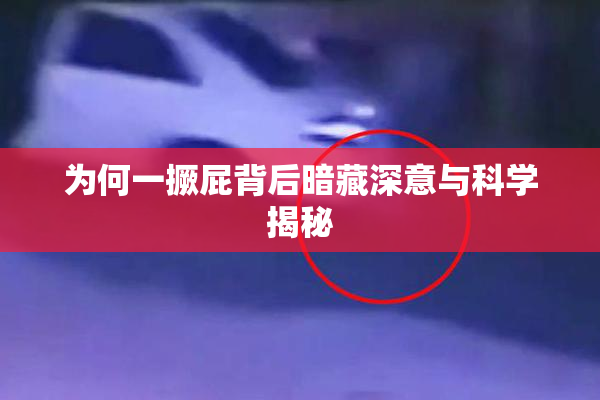 为何一撅屁背后暗藏深意与科学揭秘