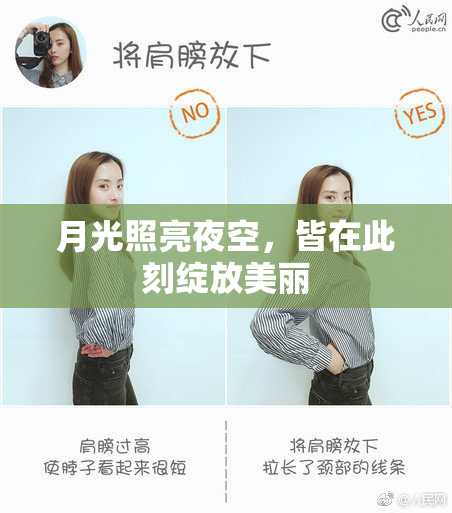 月光照亮夜空，皆在此刻绽放美丽