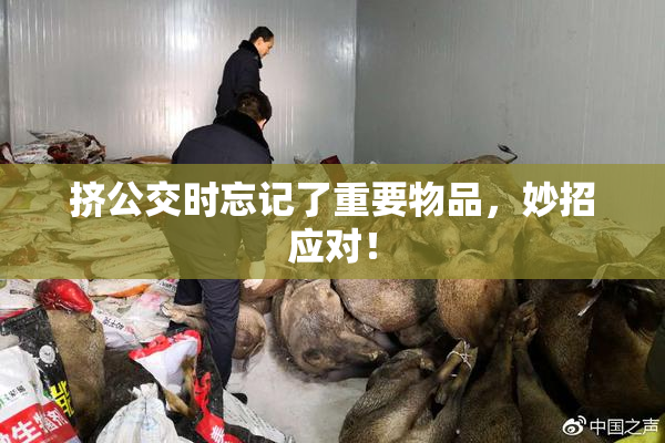 挤公交时忘记了重要物品，妙招应对！