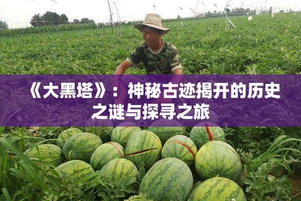 《大黑塔》：神秘古迹揭开的历史之谜与探寻之旅