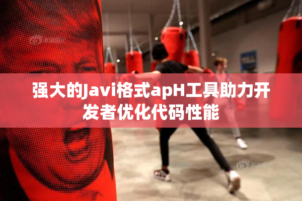 强大的Javi格式apH工具助力开发者优化代码性能
