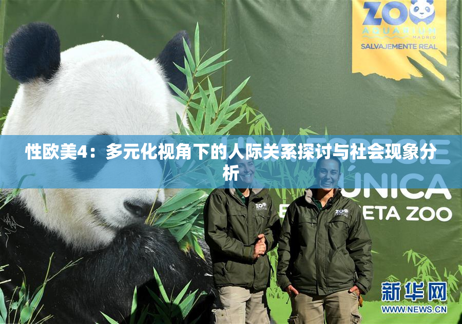 性欧美4：多元化视角下的人际关系探讨与社会现象分析