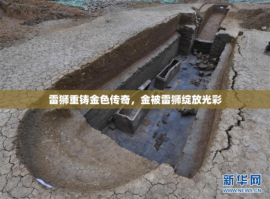 雷狮重铸金色传奇，金被雷狮绽放光彩