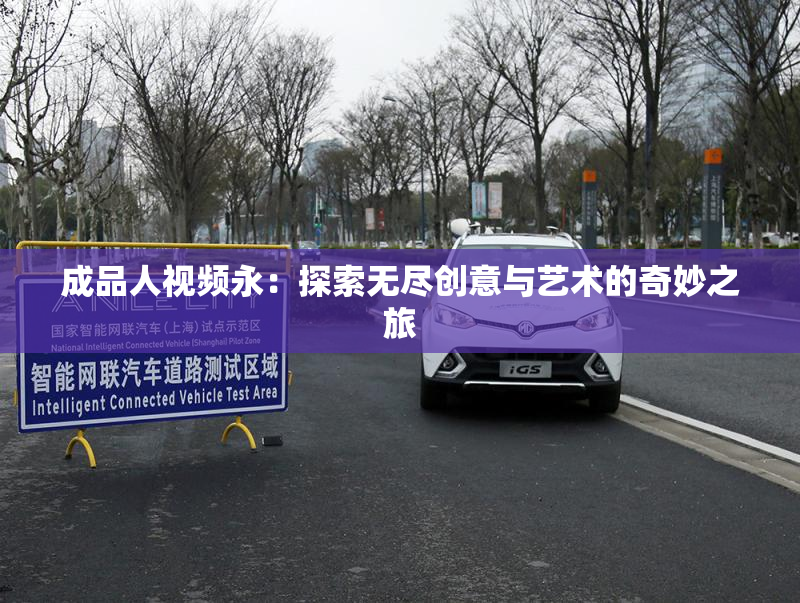 成品人视频永：探索无尽创意与艺术的奇妙之旅