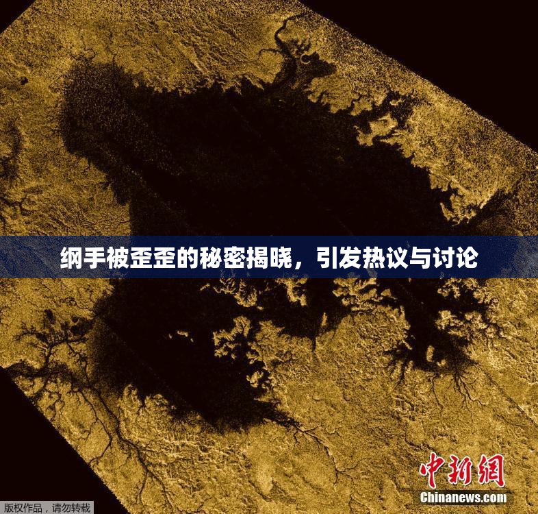 纲手被歪歪的秘密揭晓，引发热议与讨论