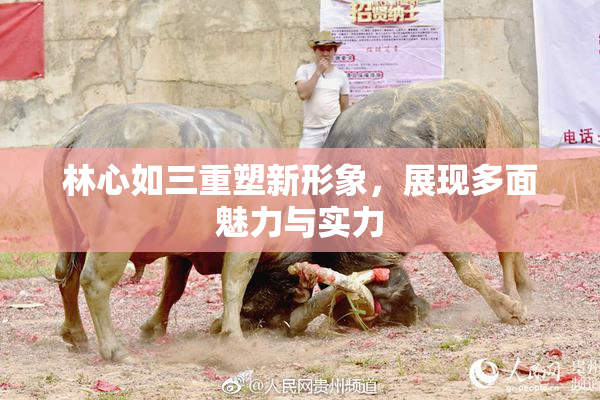 林心如三重塑新形象，展现多面魅力与实力