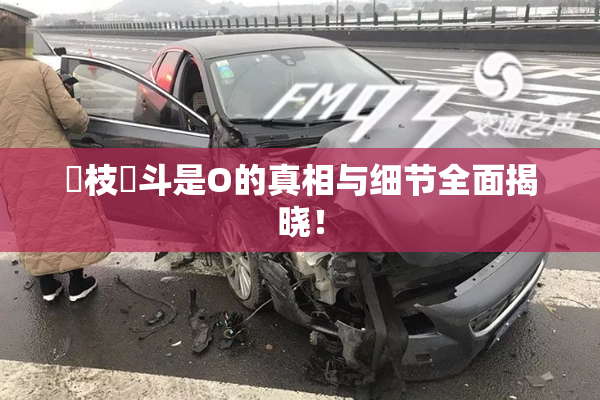 狛枝凪斗是O的真相与细节全面揭晓！