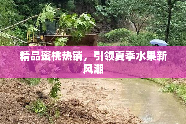 精品蜜桃热销，引领夏季水果新风潮