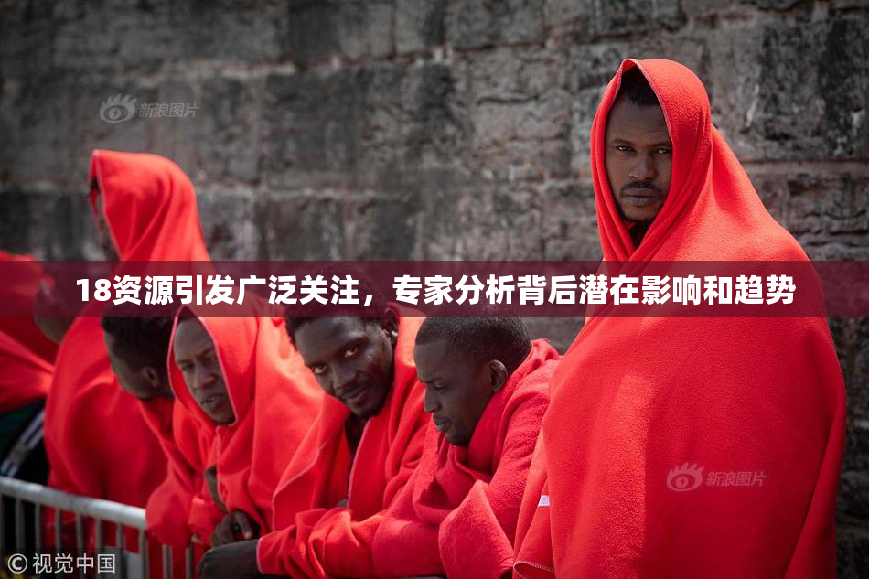 18资源引发广泛关注，专家分析背后潜在影响和趋势