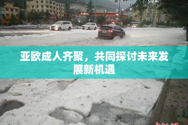 亚欧成人齐聚，共同探讨未来发展新机遇