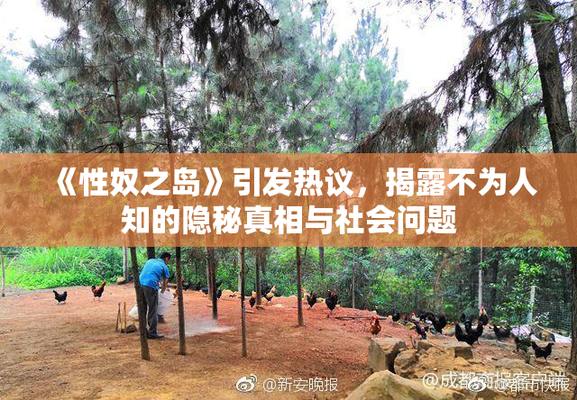 《性奴之岛》引发热议，揭露不为人知的隐秘真相与社会问题