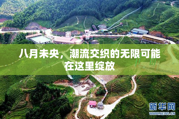 八月未央，潮流交织的无限可能在这里绽放