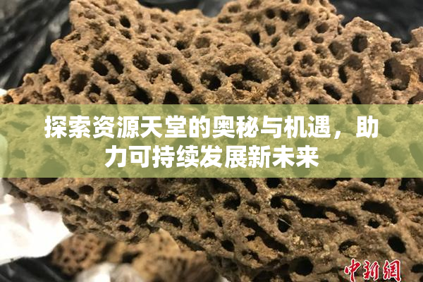 探索资源天堂的奥秘与机遇，助力可持续发展新未来