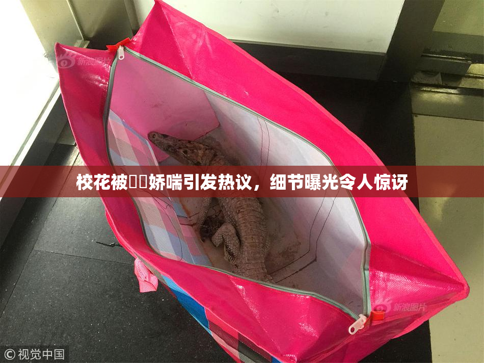 校花被❌‌娇喘引发热议，细节曝光令人惊讶