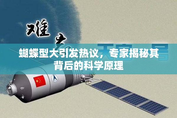 蝴蝶型大引发热议，专家揭秘其背后的科学原理