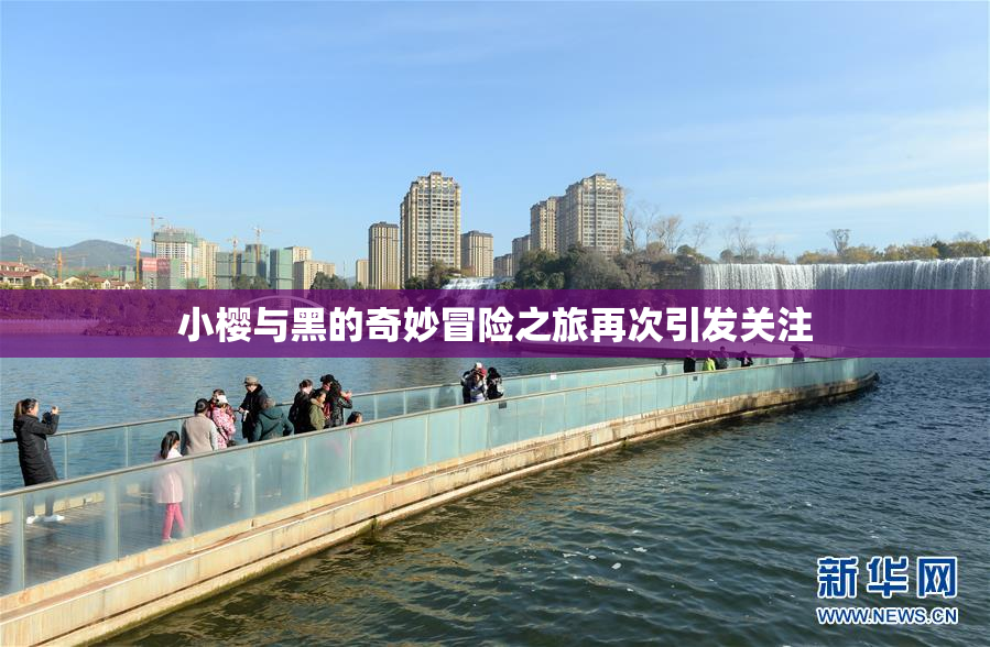 小樱与黑的奇妙冒险之旅再次引发关注