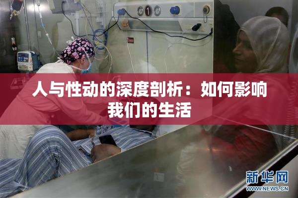 人与性动的深度剖析：如何影响我们的生活