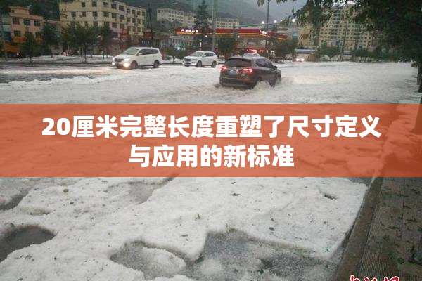 20厘米完整长度重塑了尺寸定义与应用的新标准