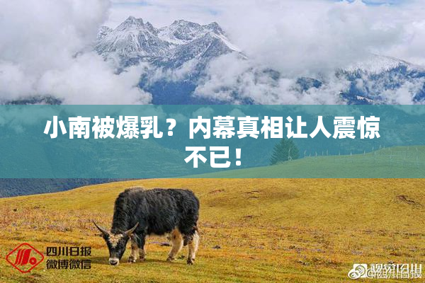 小南被爆乳？内幕真相让人震惊不已！