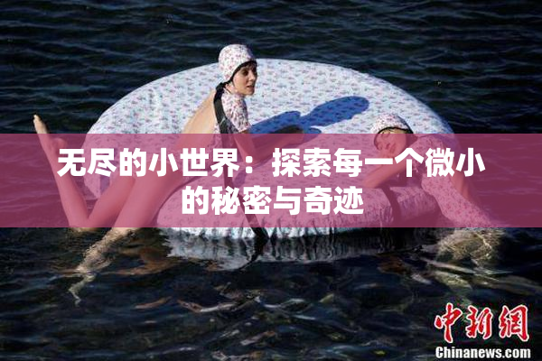 无尽的小世界：探索每一个微小的秘密与奇迹