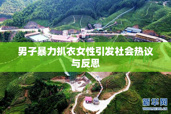 男子暴力扒衣女性引发社会热议与反思