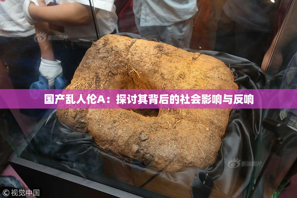 国产乱人伦A：探讨其背后的社会影响与反响