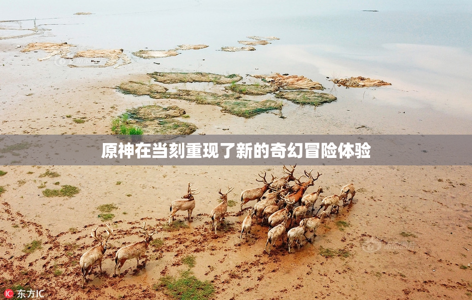 原神在当刻重现了新的奇幻冒险体验