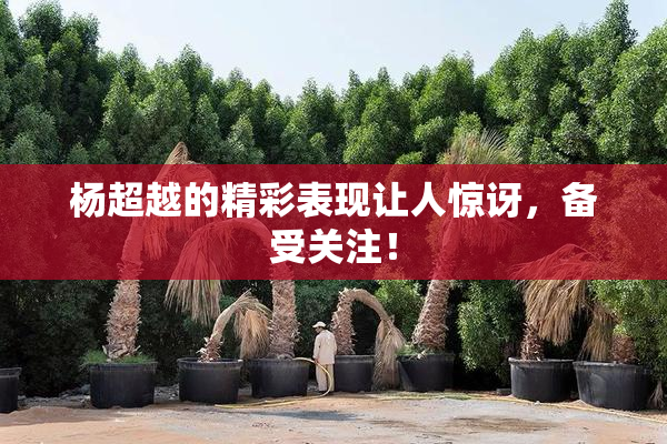 杨超越的精彩表现让人惊讶，备受关注！