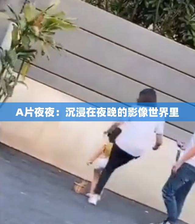 A片夜夜：沉浸在夜晚的影像世界里
