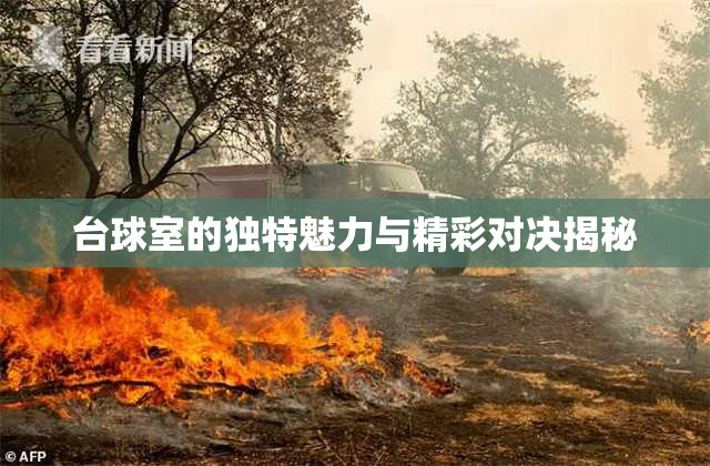 台球室的独特魅力与精彩对决揭秘