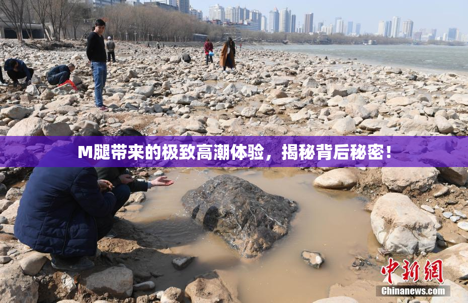 M腿带来的极致高潮体验，揭秘背后秘密！