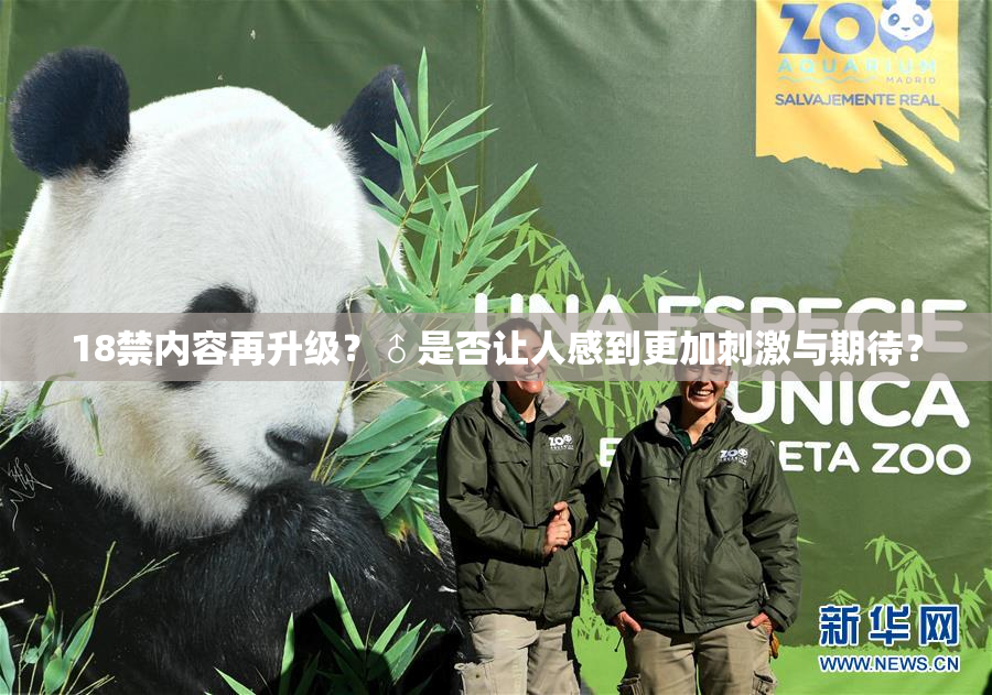18禁内容再升级？♂是否让人感到更加刺激与期待？