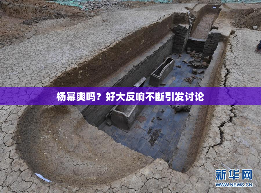 杨幂爽吗？好大反响不断引发讨论