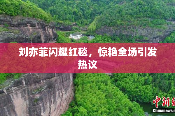 刘亦菲闪耀红毯，惊艳全场引发热议
